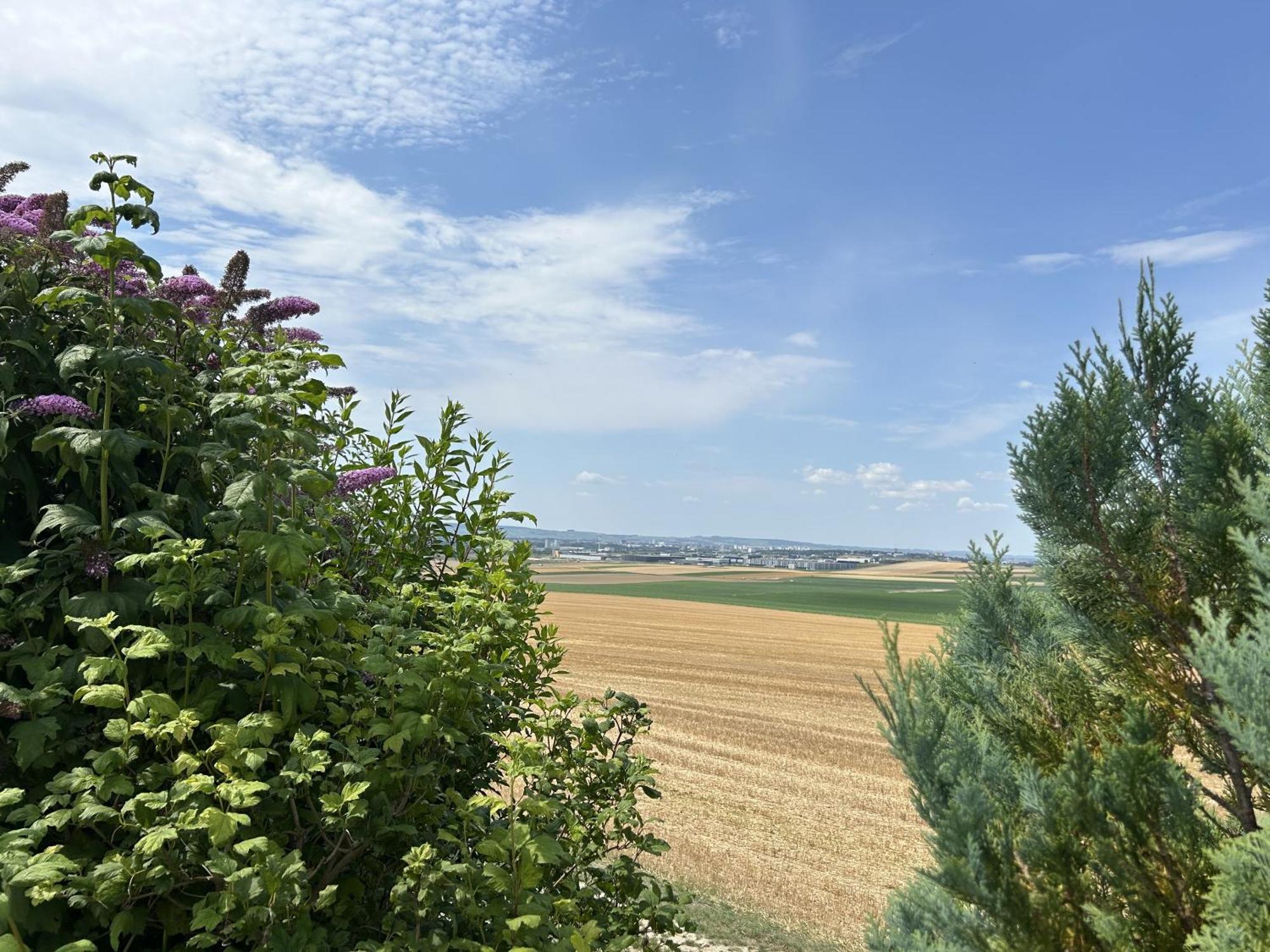 Le Charme Villa Cernay-les-Reims Eksteriør bilde